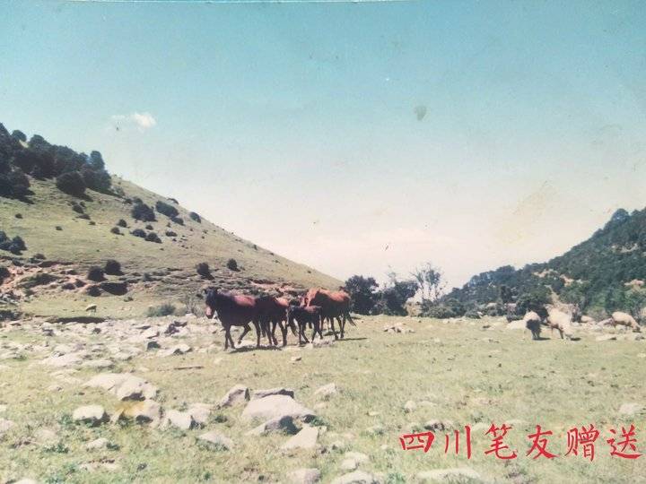 齐鲁晚报网-山东新闻门户 传播品质资讯